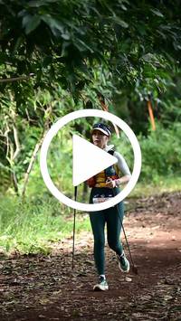 BIB:  <button type="button" onclick="openModal(27291464)" class="btn btn-primary btn-sm float-right" data-toggle="modal" data-target=".modal-high-quality">
                <i class="fa fa-download"></i> Download
                </button>